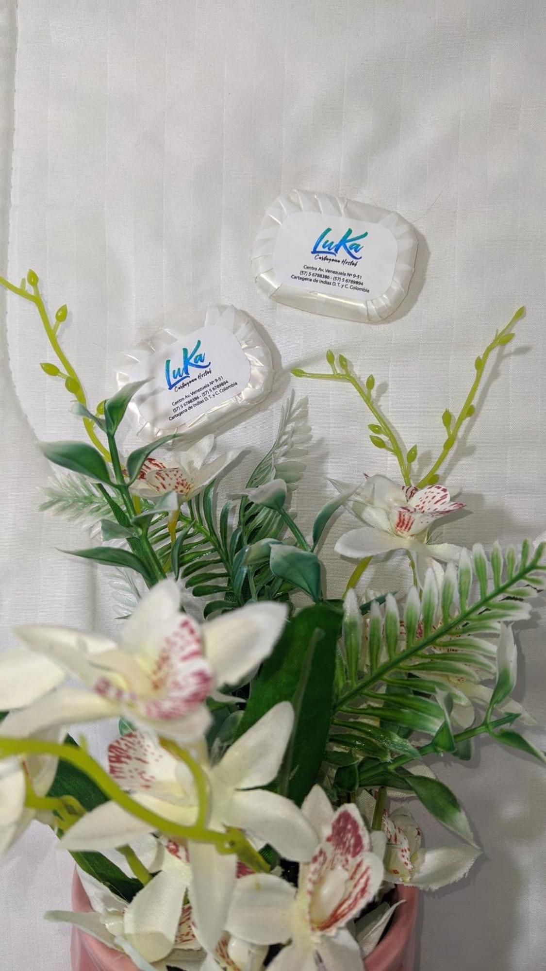 Hotel Luka Cartagena